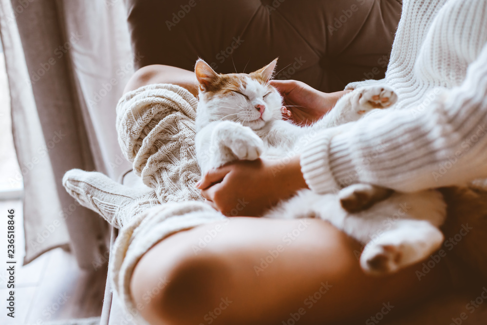Fototapeta premium Dziewczyna z kotem relaksuje na kanapie