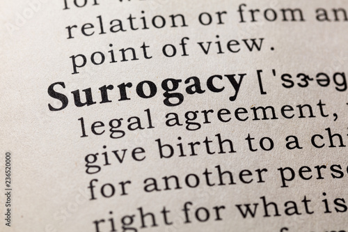 definition of surrogacy photo