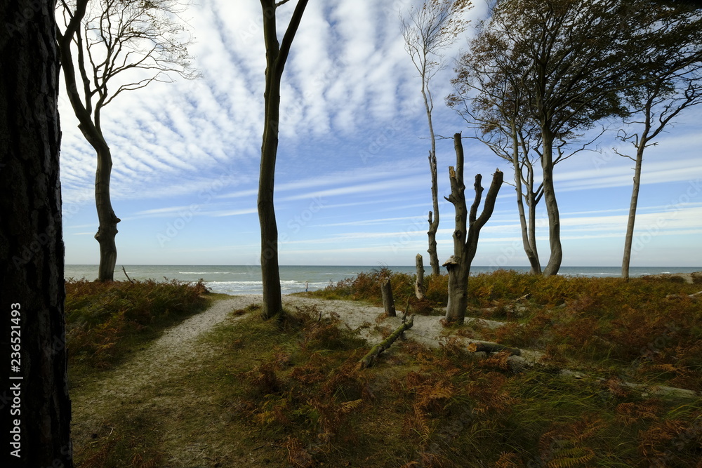 Darßer Weststrand, Nationalpark Vorpommersche Boddenlandschaft, Mecklenburg Vorpommern, Deutschland Darßer Weststrand, Nationalpark Vorpommersche Boddenlandschaft, Mecklenburg Vorpommern, Deutschland