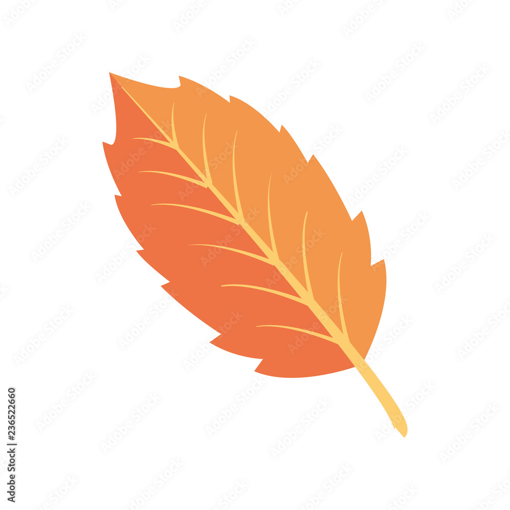 natural big leave color background natural big leave color background