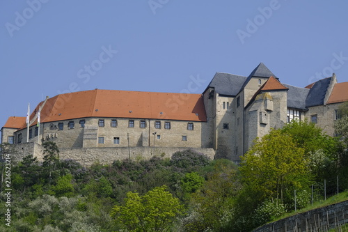 Herzoglicher Weinberg unterhalb von Schloss Neuenburg bei Freyburg, Burgenlandkreis, Sachsen-Anhalt, Deutschland.....