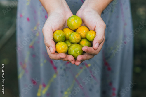  Citrus Japonica Thunb