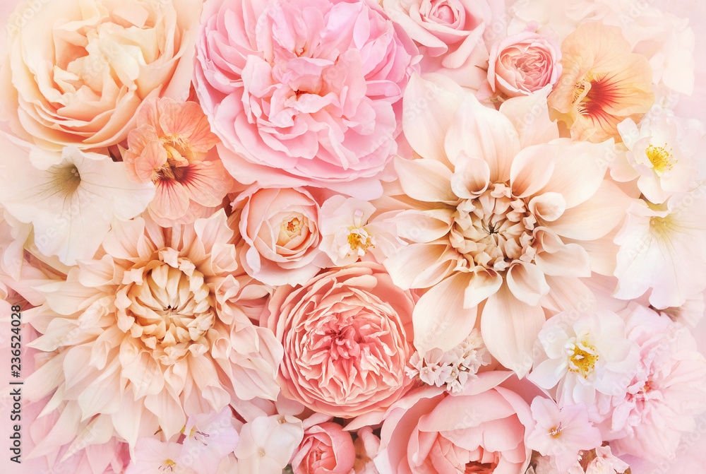 Obraz premium Letnie kwitnące delikatne róże i dalia kwitnące kwiaty świąteczne tło, pastelowy i miękki bukiet kwiatowy karta, stonowanych