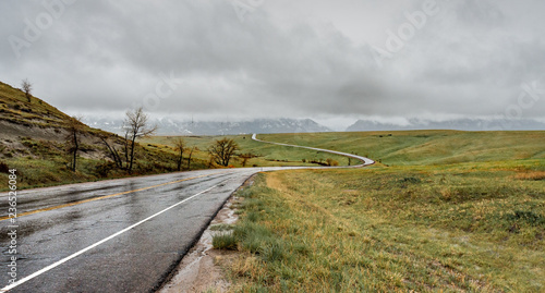 Rainy Road