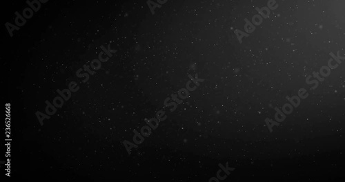 flying particles of organic dust on a black background photo
