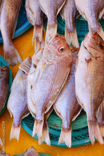 Snappers at Jagalchi fish market, Busan, Korea photo