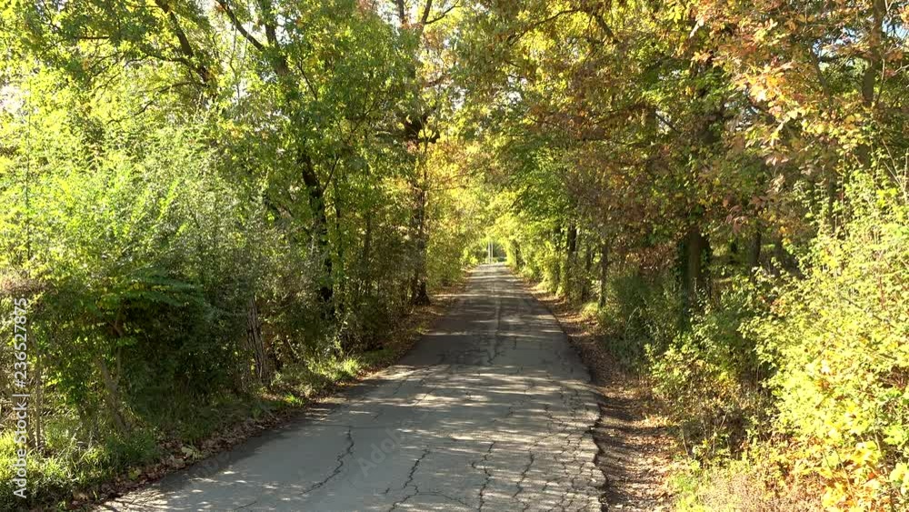 dirt road through green forest on Modena hills in Italy dirt road through green forest on Modena hills in Italy