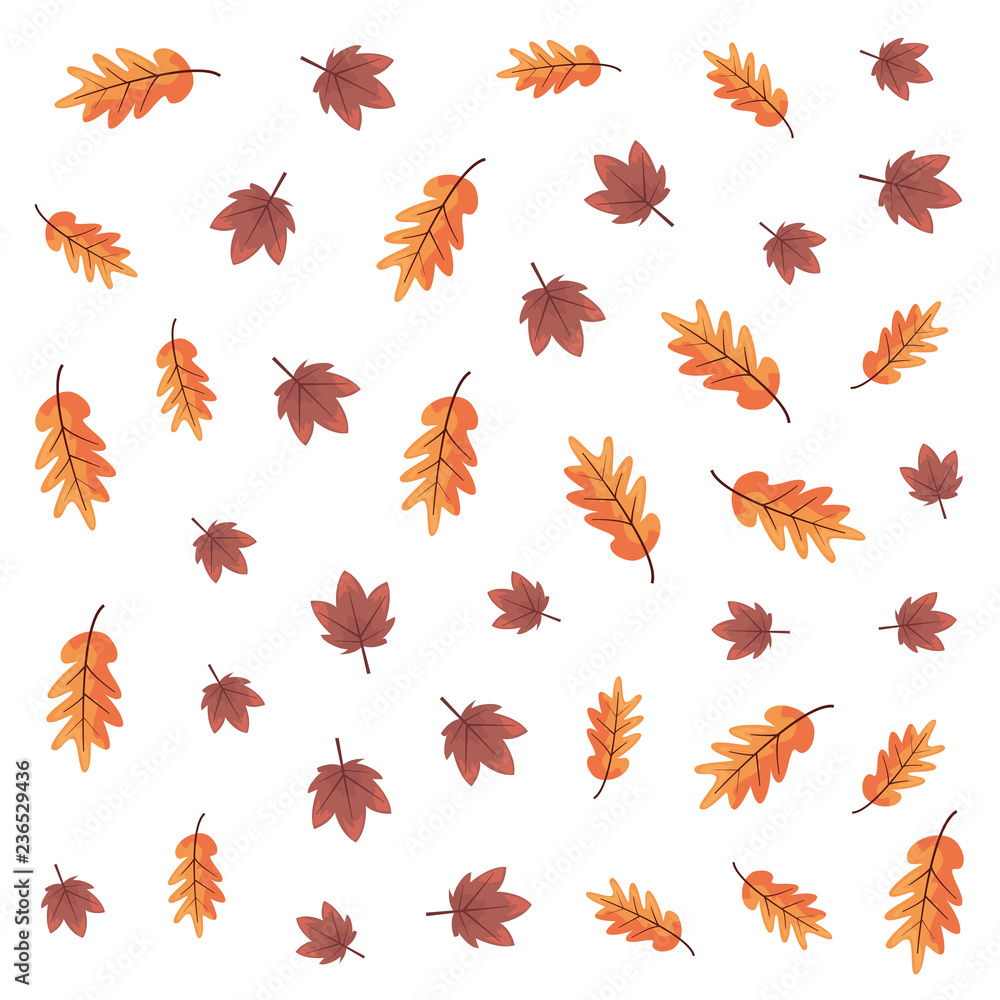 maple leaves foliage decoration background maple leaves foliage decoration background