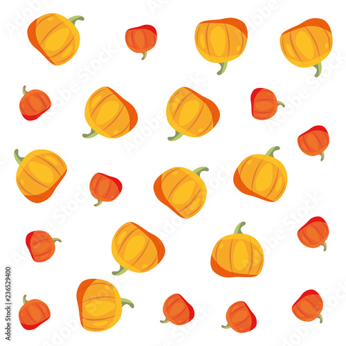 yellow and orange pumpkins decoration background