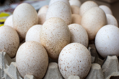 Speckled eggs