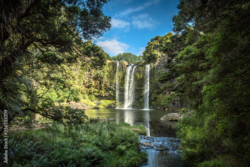 Whangarei Falls is located in Whangarei Scenic Reserve in New Zealand's north island. Curtain waterfall seen from distance. Lush green native bush in the foreground