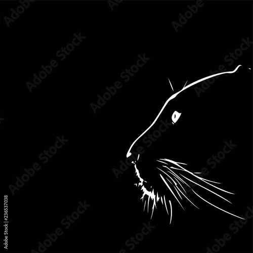 Panther walking from dark. vector Logo design, on black background image