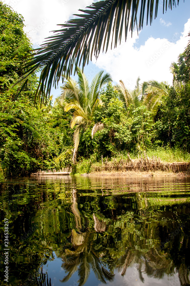 Landscape with tranquil lake with vegetation on the bank in Maranhão - Brasil Landscape with tranquil lake with vegetation on the bank in Maranhão - Brasil