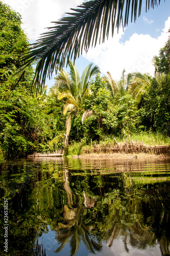 Landscape with tranquil lake with vegetation on the bank in Maranhão - Brasil