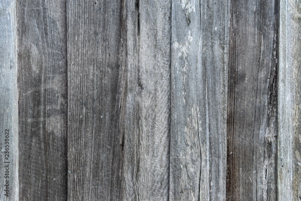 wood panel texture with natural pattern for design and decoration. Copy space wood panel texture with natural pattern for design and decoration. Copy space