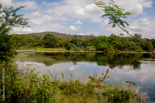 Quiet lake with vegetation on the bank