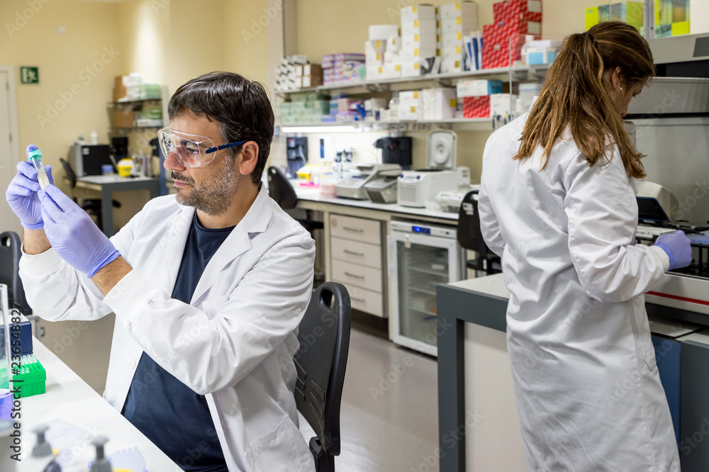 Two scientists working in a DNA lab Two scientists working in a DNA lab