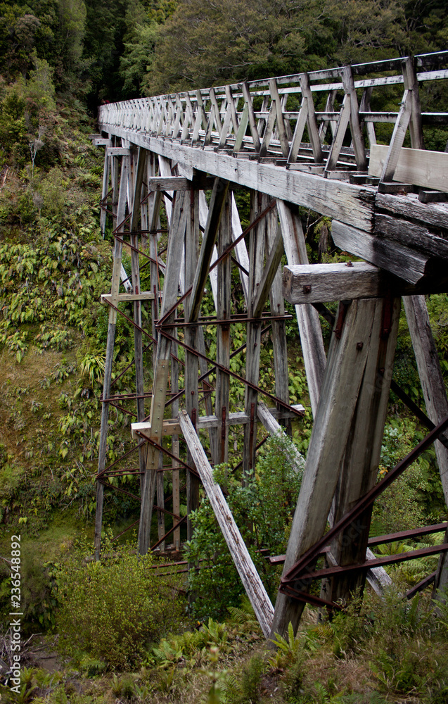 A wooden bridge structure in a forrest at the Humpridge Track in the Southland in the South Island of New Zealand A wooden bridge structure in a forrest at the Humpridge Track in the Southland in the South Island of New Zealand