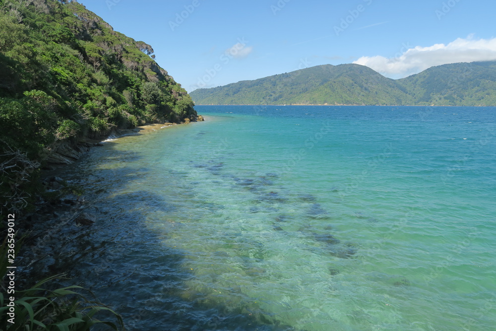Türkisblaues Wasser und Strand in Neuseeland