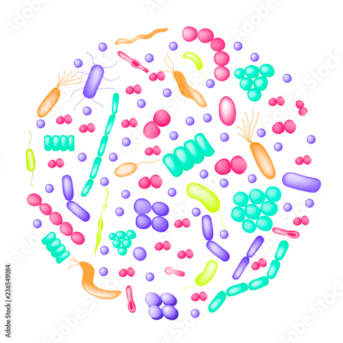  Arrangements of bacterial microorganism in circle shape. 