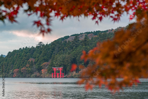 An iconic red gate of Hakone jinja shrine standing in Lake Ashi with blurred red maple leaves in foreground.