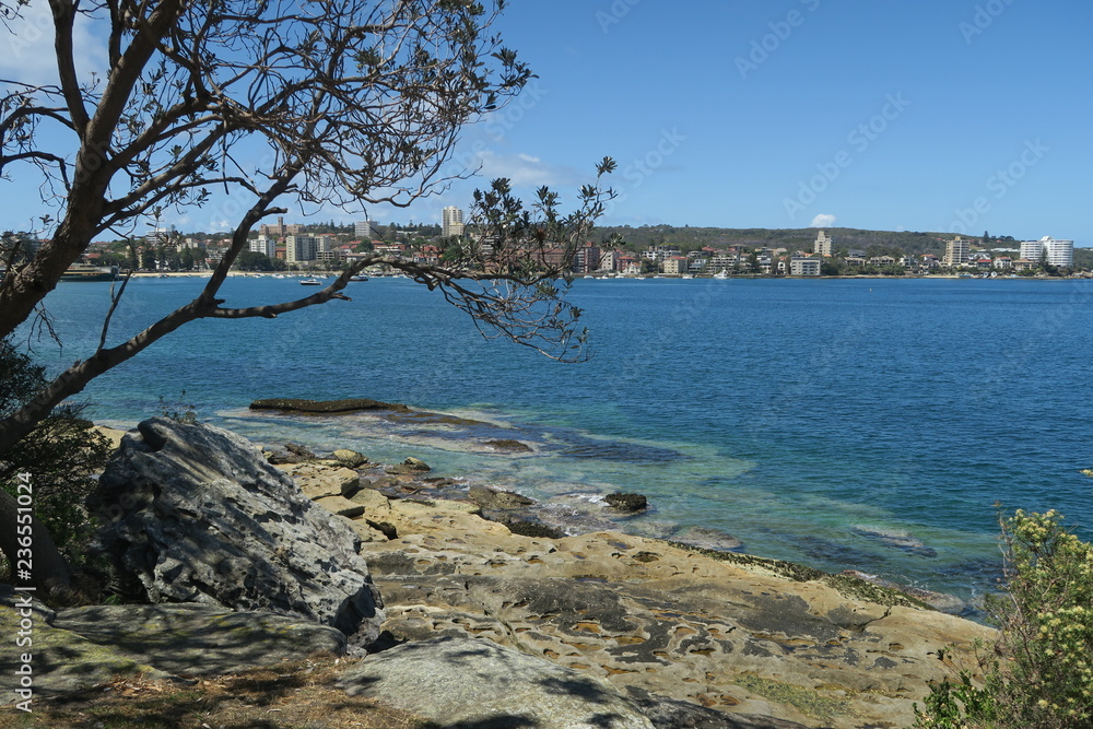 Türkisblaues Wasser und Strand in Neuseeland Türkisblaues Wasser und Strand in Neuseeland