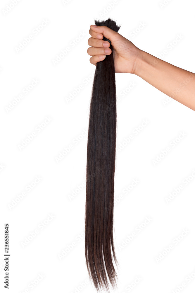 Hand holding long hair donation for cancer patient on white background Hand holding long hair donation for cancer patient on white background
