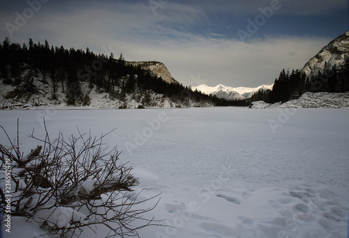 Chateau Lake Louise, Banff National Park, Canada photo