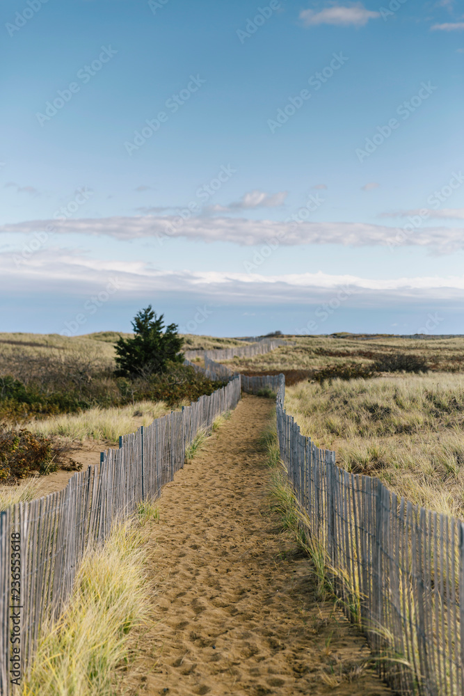 Walkway to Beach On Plum Island Walkway to Beach On Plum Island