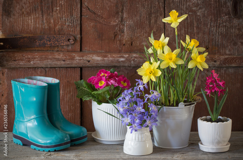 Gardening tools and spring flowers on wooden background