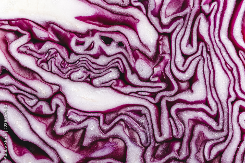 Red cabbage macro background. Texture of the cut cabbage Red cabbage macro background. Texture of the cut cabbage