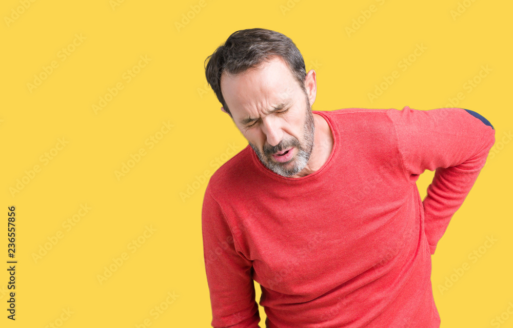 Handsome middle age hoary senior man wearing winter sweater over isolated background Suffering of backache, touching back with hand, muscular pain Handsome middle age hoary senior man wearing winter sweater over isolated background Suffering of backache, touching back with hand, muscular pain