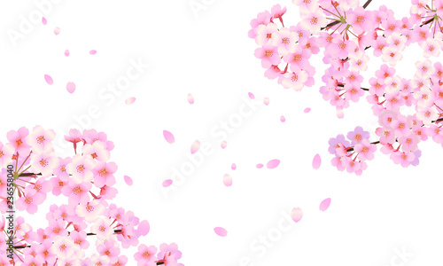 背景素材 桜フレーム 04