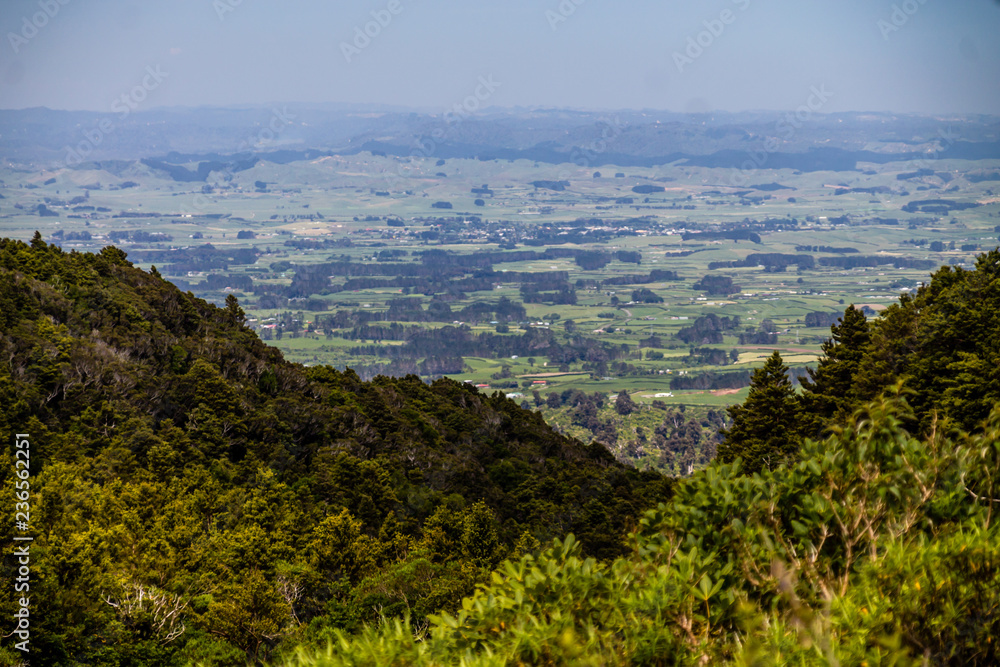 A view into the valley from the hilltop. Egmont, National Park, New Zealand