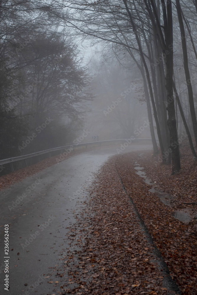 Montseny road in a foggy day