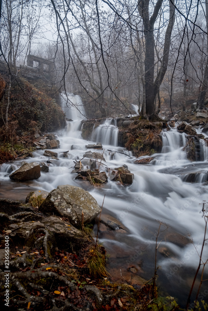 little waterfalls in rainy autumn forest