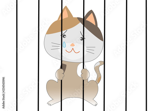 檻の中に監禁された猫