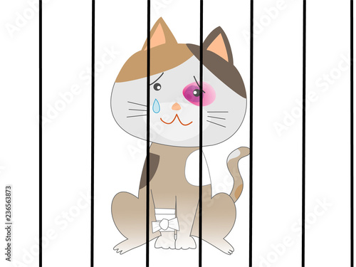檻の中に監禁された猫