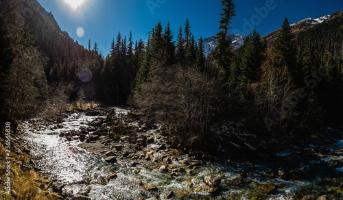 Fototapeta Naklejka Na Ścianę i Meble -  Panoramic view from bank of the river Gonachhir with pine forest and snow caucasus mountains during sunny autumn day