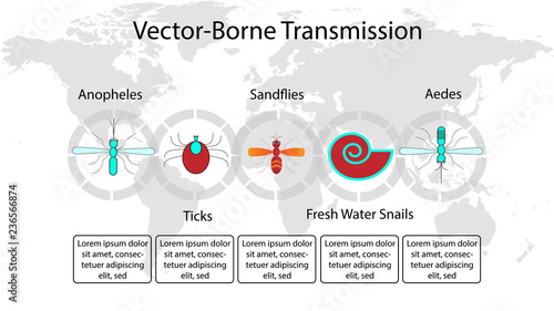 vector-borne transmission