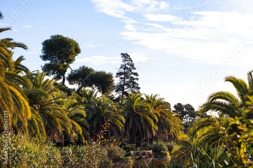 Park Güell in the morning, Barcelona