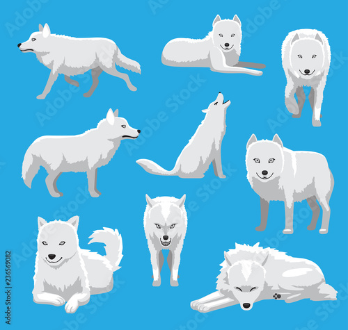 White Wolf Arctic Fox Cartoon Vector Illustration