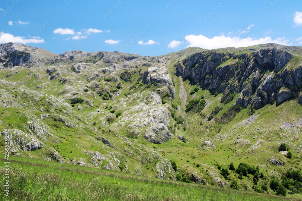 Naklejka premium National Park Durmitor, a mountain pass, Montenegro 