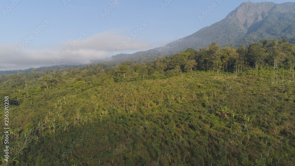 aerial view tropical forest with lush vegetation and mountains, java island. tropical landscape, rainforest in mountainous area Indonesia. green, lush vegetation. aerial view tropical forest with lush vegetation and mountains, java island. tropical landscape, rainforest in mountainous area Indonesia. green, lush vegetation.