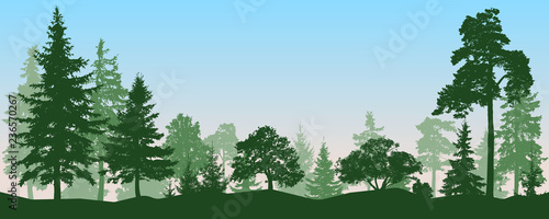 Forest, park, alley. Landscape of isolated trees. Vector illustration © nosyrevy