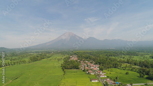 Rural landscape in asia village among rice fields agricultural land, mountains in countryside. aerial view farmland with agricultural crops in rural areas Java Indonesia