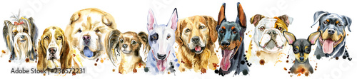 Fotografia Border from watercolor portraits of dogs for decoration