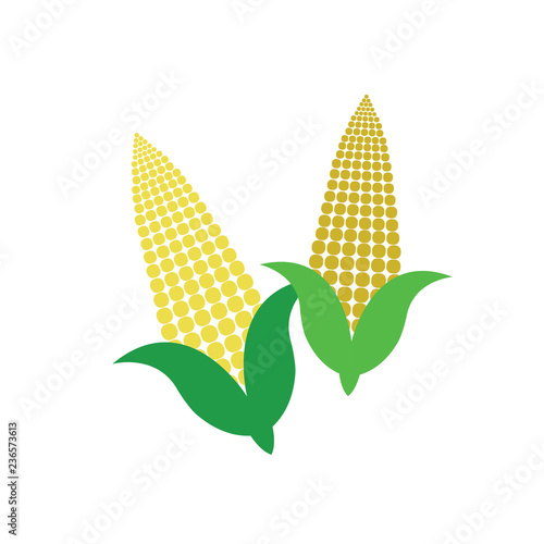 corn on the cob