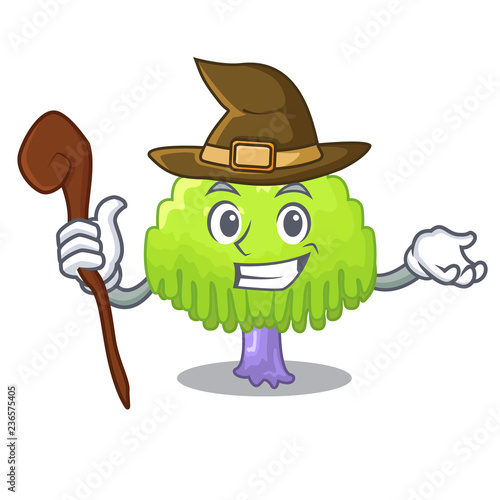 Witch green tree willow on the character