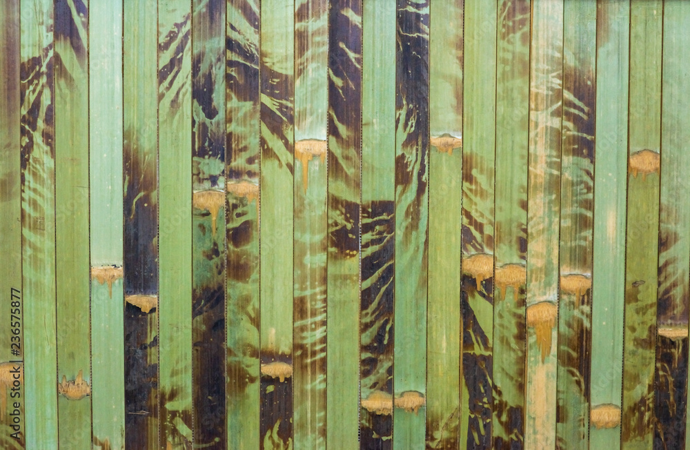 Fototapeta bambusowa tapeta tło